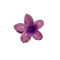 Frangipani hair claw clip with purple gradient finish and translucent resin design - 12# Trumpet Flower Purple