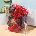 Detailed view of dried flower material pack with red hydrangeas and gypsophila flowers - Dried Flowers Bag Red 14.5g