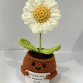 Handmade crochet white daisy potted plant with a smile pot and thank you card - Positive Potted-Chamomile 1