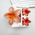 Pink gradient frangipani hair claw set with marble resin finish for vacation styling - Light Watermelon Red Set (including Card)