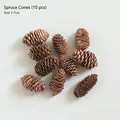 Set of 10 natural spruce pine cones for Christmas decor, size 5-7cm on white fabric - Spruce 10pcs Pack / Brown