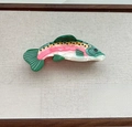 Rainbow trout shaped acetate hair claw clip with colorful fish scale patterns - Salmon