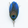 Elegante pauwenveer broche met blauwgroen oog en zilveren speld op witte achtergrond - Koningsblauw