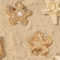 Detailed view of golden starfish earrings with pearls and rhinestones on beach sand - Simulated Gold White Artificial Pearl Starfish Style (WEH5087)