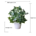 Artificial variegated ivy plant in white pot with dimensions width 22cm and height 26cm - Medium Pot + White Sweet Potato Leaf