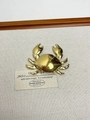 Golden crab brooch with polished finish on a minimalist canvas background - 49 Gold Crab (XZ0050A)