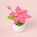 Detailansicht der handgefertigten rosa Häkel-Lilie im Topf mit gelben Staubgefäßen und Blättern - Mars-Orchidee Topfpflanze / Fuchsia