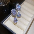 Macro detail of silver drop earrings with faceted clear cubic zirconia in a jewelry box - Silver Needle Style (57#) / Silver