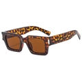 Chic square tortoiseshell sunglasses with dark brown lenses and silver metal studs - Tortoiseshell Frame Tea Lens