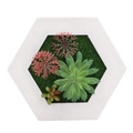White hexagonal frame with artificial green succulents and red plants on moss base - Style 2E