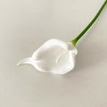 Realistic white PU mini calla lily artificial flower with green stem for decoration - White with White Core