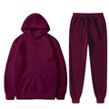 Minimalist burgundy drawstring hoodie and matching jogger set on a plain white background - Burgundy