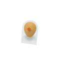 Flesh-toned silicone breast model with orange symbol on a clear acrylic display stand - Flesh Tone (Nipple) With Stand