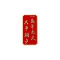 Rote Emaille-Anstecknadel mit goldener Kalligraphie und Metallrahmen - Nutze den Tag