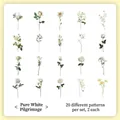 Floral PET sticker set with 20 patterns of white roses and daisies, 40 pieces total - Pure White-40PCS