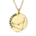 Elegant gold Capricorn zodiac coin pendant necklace with sparkling crystal inlay - Capricorn (KN118006-GC)