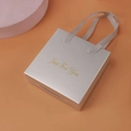 Elegante champagnerfarbene Geschenkbox für Schmuck mit Schleifengriff und Goldprägung - Silber