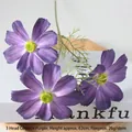 3-Head Cosmos Purple