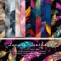 Luxury Feathers paper pad with 24 sheets of 6x6 inch 160gsm heavyweight cardstock - R2416 24 Sheets