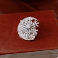 Macro shot of silver crescent moon and snowflake brooch with sparkling cubic zirconia inlay - Moon Snowflake Style / Silver