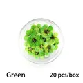 Macro shot of 20 pieces of green dried mini plum flowers for nail art in a clear box - 20 Pcs Pack / Green