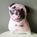 3D realistic Pug dog plush pillow with creative digital printing for home decor - 20cm / Pug