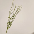 Sparkly 43cm green artificial glitter stem with decorative beads for holiday decor - With Berries / Green