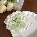 Élégante grande pince à cheveux pivoine vert clair dans un plat décoratif blanc - 10# Pivoine Vert Clair