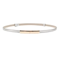 Minimalist silver skinny waist belt with gold buckle and smooth metallic finish - Silver