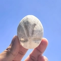 Detailed close-up of a white sea urchin shell specimen held against a clear blue sky - Flat Urchin Black Sea Urchin Shell 4-6cm