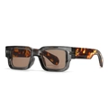 Retro wide-frame sunglasses with grey translucent frames and tortoiseshell temples - Transparent Grey Frame Light Tea Lens (C6)
