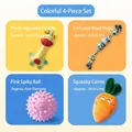 4-piece durable dog toy set with plush giraffe, cotton rope, rubber ball, and carrot - 4-Piece Rainbow Party Colorful Mix