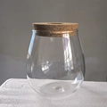 Minimalist transparent glass hydroponic vase with a round cork stopper lid - Teardrop Small