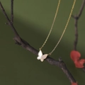 S925 sterling silver golden butterfly necklace with iridescent white mother of pearl - 925 Silver / Gold