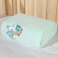 Soft light green coral fleece baby towel featuring a cute dinosaur embroidery pattern - 110*105cm / Upgraded Green Dragon