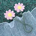 Marguerites Roses À Deux Têtes