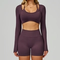 Ensemble de yoga sans couture prune avec haut manches longues, brassière et short taille haute - S / Long Sleeve+Shorts - Plum Purple