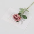 Artificial velvet dusty pink rose stem with realistic leaves and thorns on white background - Silk Bean Paste