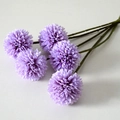 Autumn Color Single Head Pompon Mum Purple