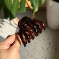 Detail view of a medium tortoise shell resin hair claw clip in natural sunlight - Medium(Approx 7cm) / Glossy Red Brown