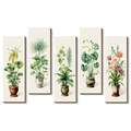 Five-piece botanical wood wall art set featuring vintage potted plant illustrations - 30*10*0.5cm (Single Piece) / Botanical Potted Plant Style A (Set of 5)