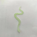 Translucent light green toy snake model made of silicone for Halloween party decorations - Luminous