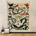 Detailansicht des böhmischen Schmetterling-Wandteppichs mit Vintage-Illustration an Wand - 73X95CM Gebürsteter Stoff / Vintage Schmetterling Exemplar