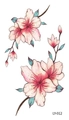 Tatuaggi temporanei con fiori di ciliegio rosa e boccioli design elegante stile LY-012 - Stile Foglie di Ciliegio Rosa (LY012)