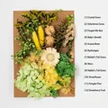 Flat lay of 12 varieties of preserved dried flowers and moss on brown kraft paper - Flower Pack A5