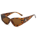 Gafas de sol cat-eye Y2K con montura de leopardo y decoración de estrellas plateadas - Montura de Leopardo / Lentes Té