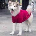 Knitted magenta dog sweater with mottled texture for large breeds like Golden Retrievers - Burgundy Big Dog Wool Sweatshirt
