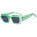 Modische quadratische Punk-Sonnenbrille in Transparentgrün mit UV-Schutzgläsern - Transparentes Grün Graue Linsen(C04)