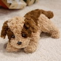 Pluche puppy speelgoed in bruin en beige, zachte liggende hond pop voor kinderen - 32cm / Donkere Koffie & Khaki
