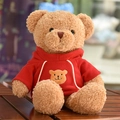 Adorable brown teddy bear plush stuffed animal wearing a cozy red hooded sweatshirt - Hoodie Bear / 30 cm / Red